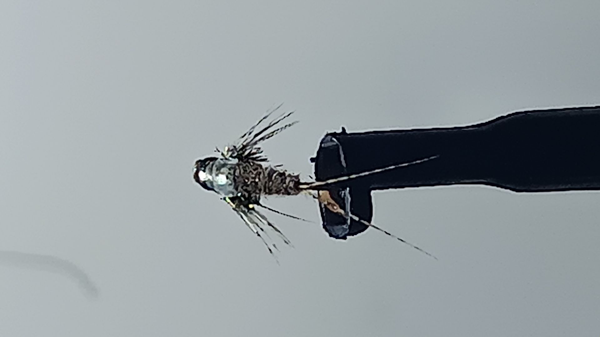 20260311 215556